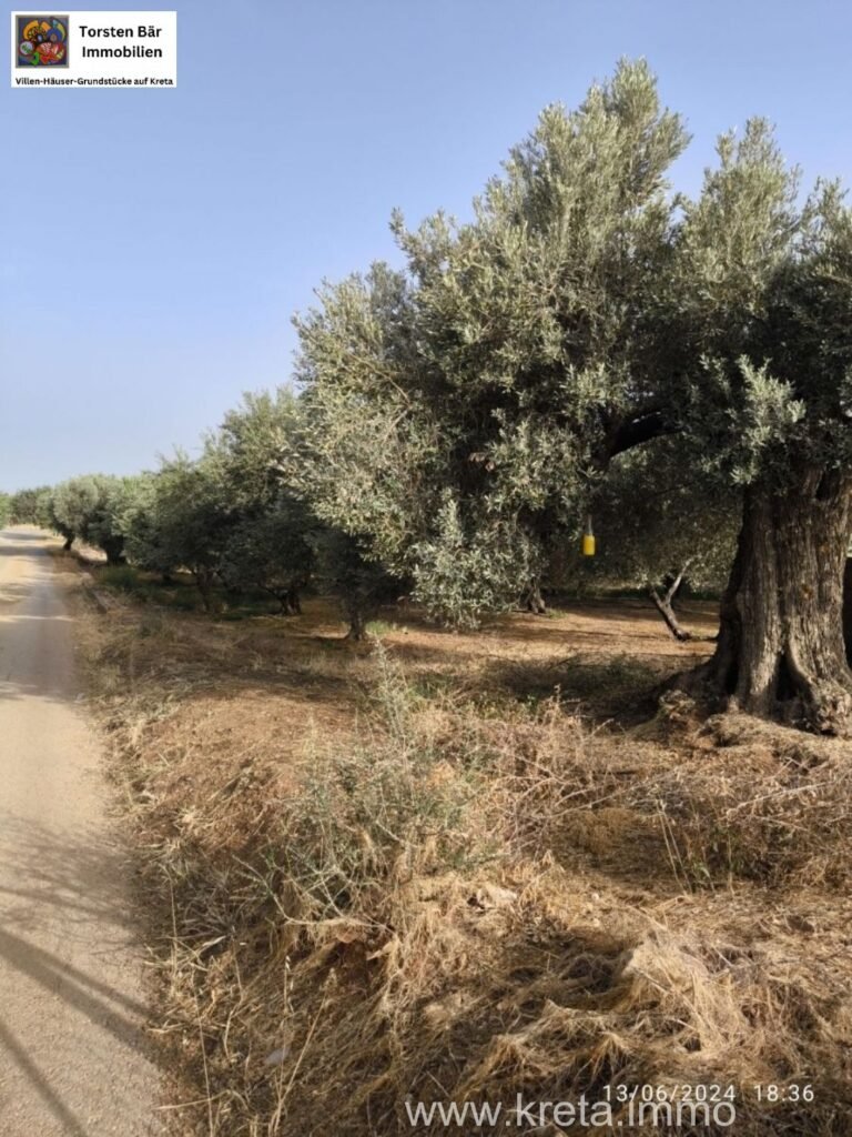 Foto der Immobilie (35433)