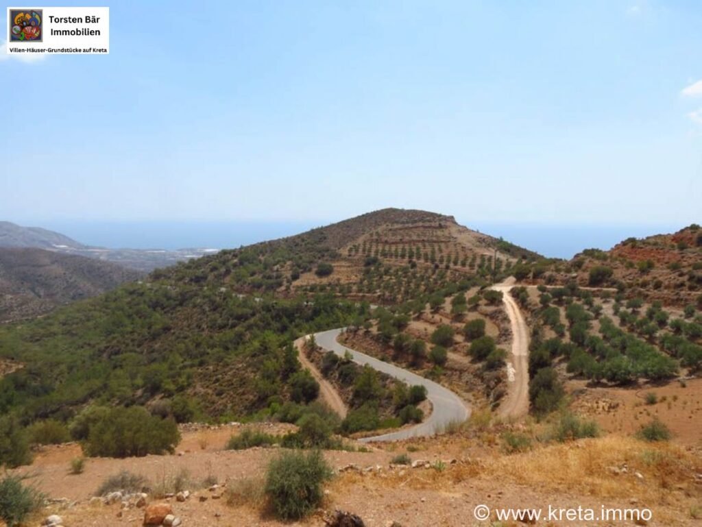 Foto der Immobilie (35059)