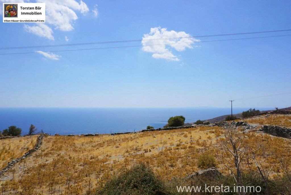 Foto der Immobilie (38382)