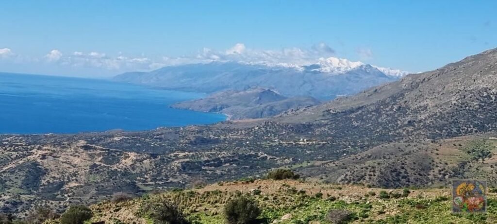 Foto der Immobilie (36172)