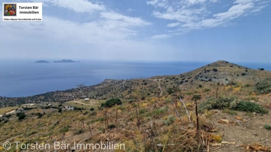 Foto der Immobilie (35872)