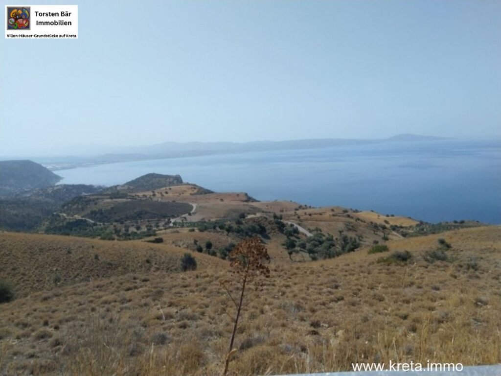 Foto der Immobilie (35906)