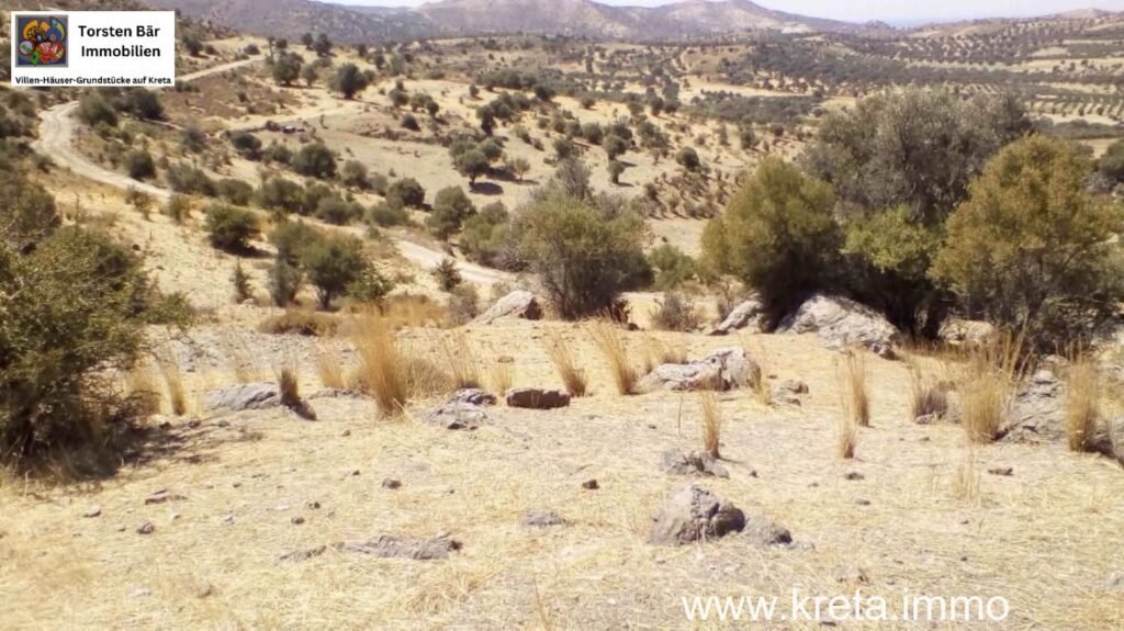 Foto der Immobilie (37547)