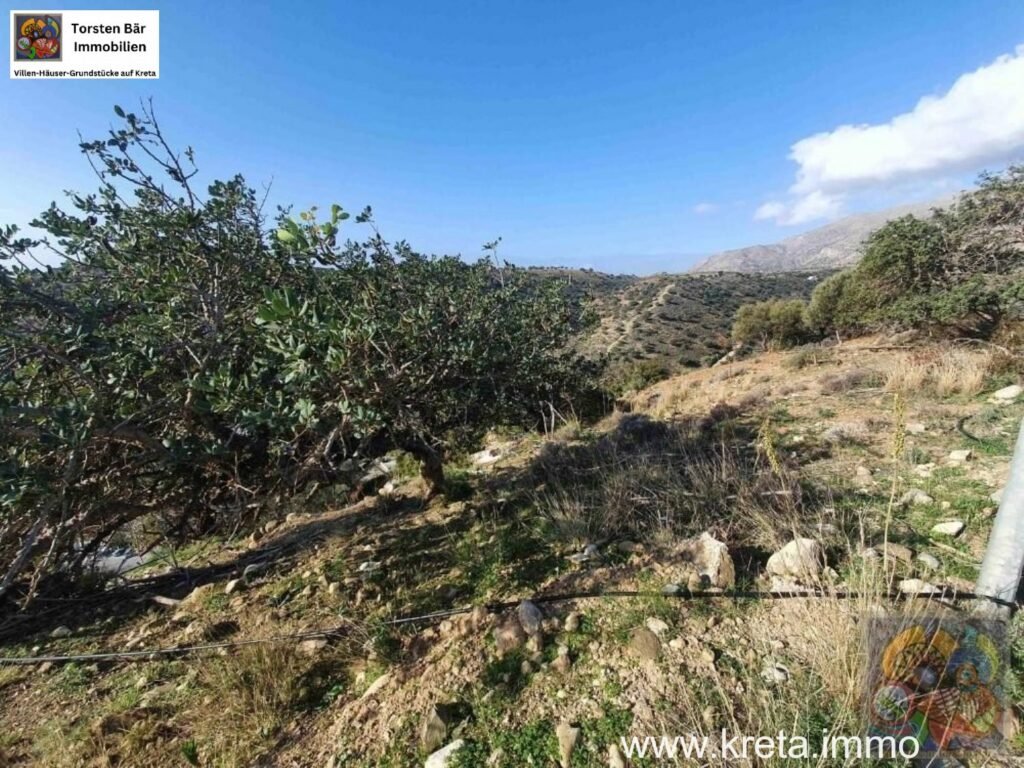 Foto der Immobilie (36825)