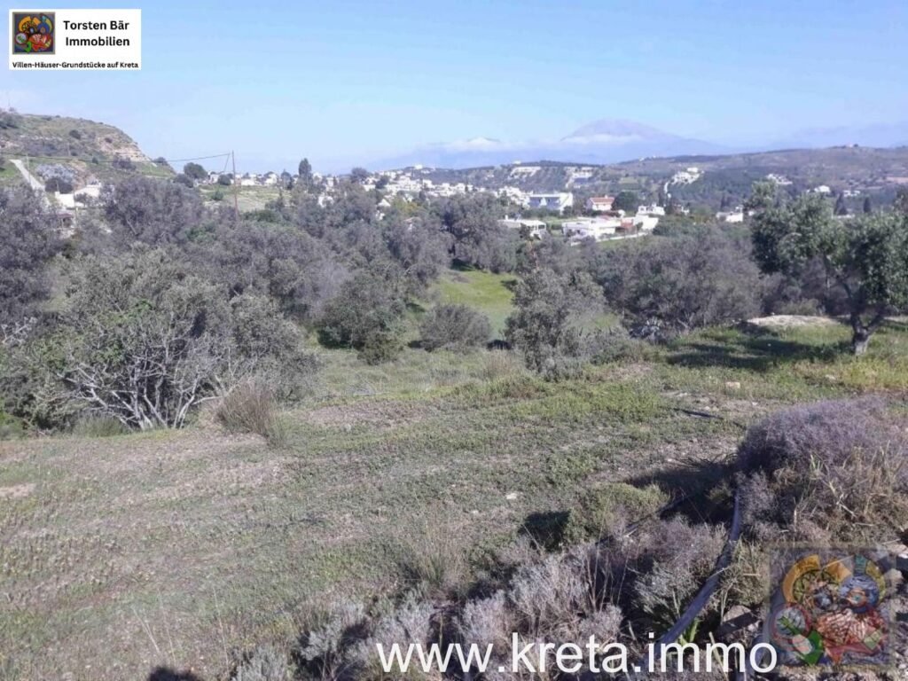 Foto der Immobilie (37221)