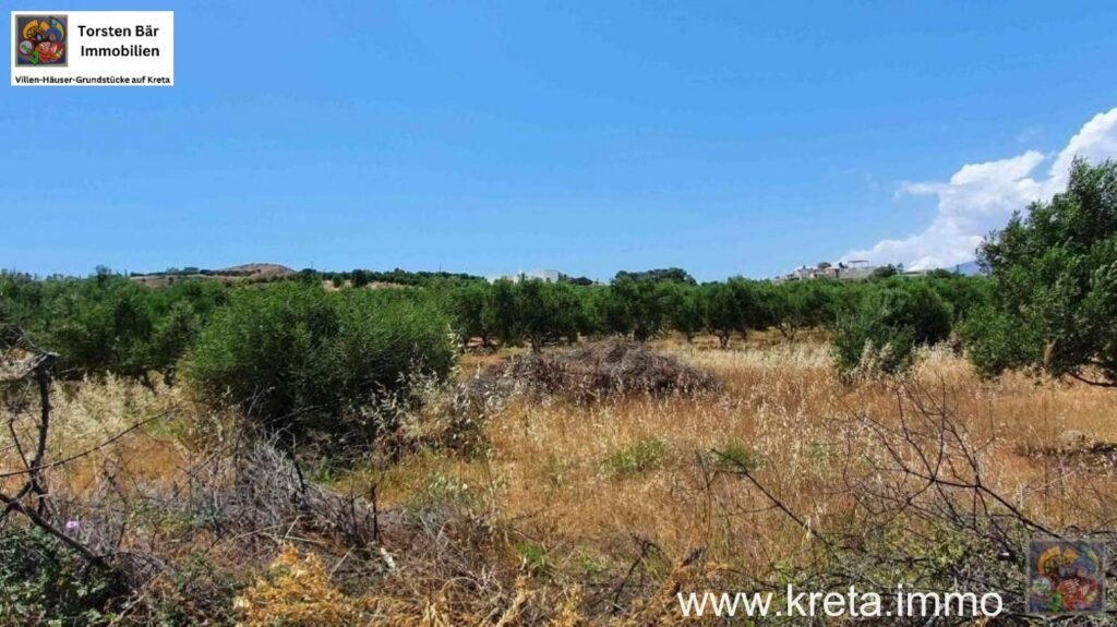 Foto der Immobilie (39519)