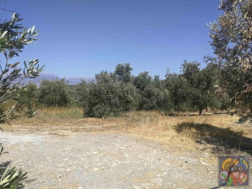 Foto der Immobilie (39685)