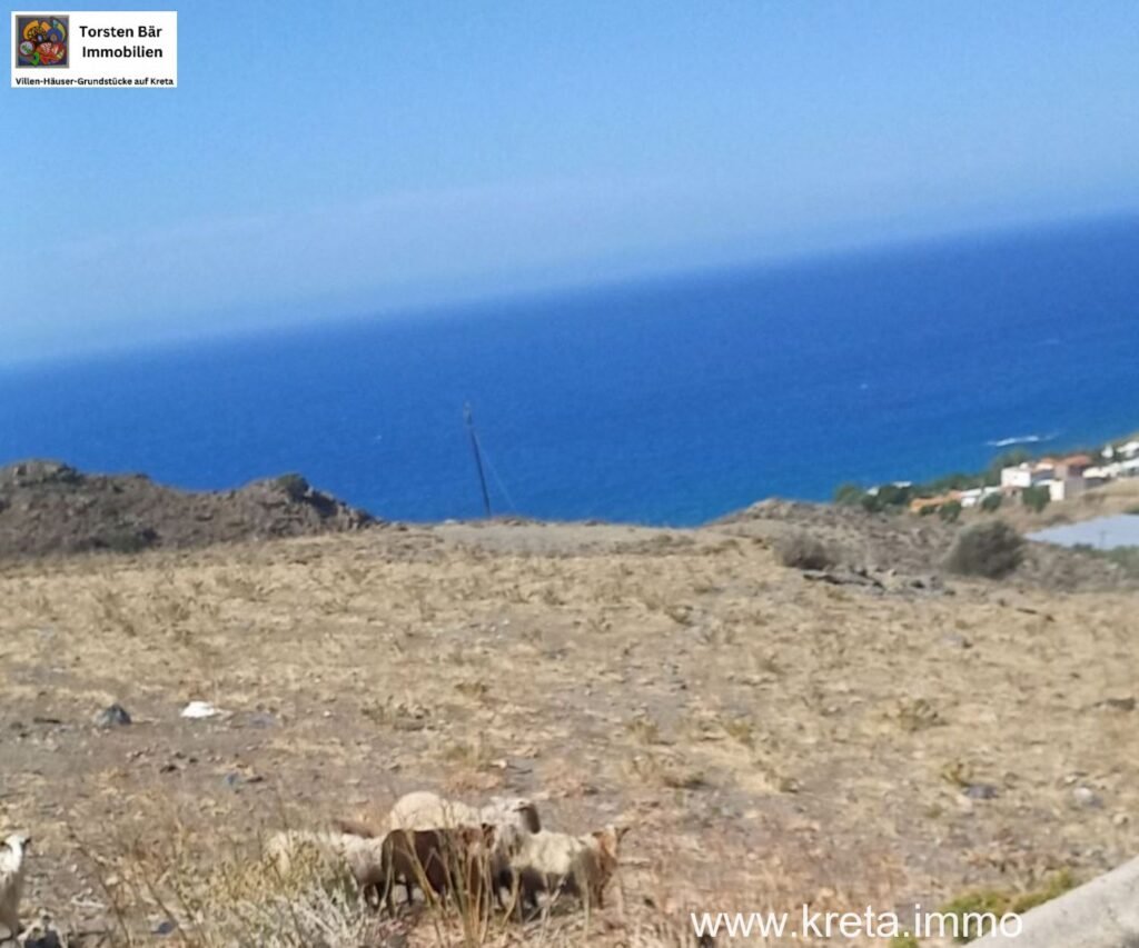 Foto der Immobilie (39861)