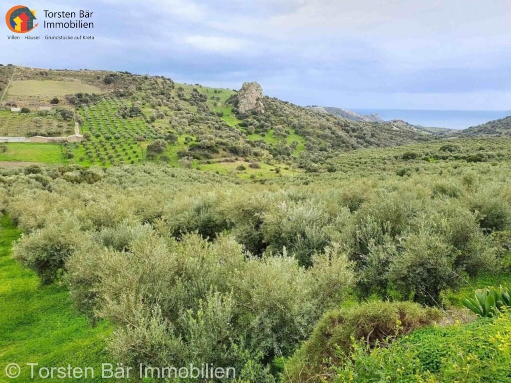 Foto der Immobilie (38651)