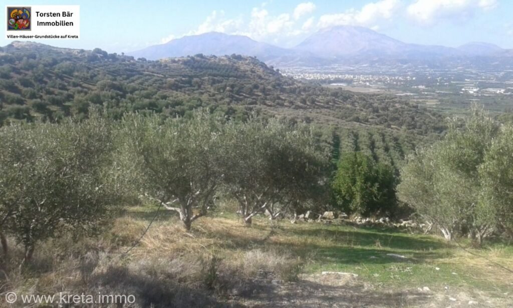 Foto der Immobilie (37491)