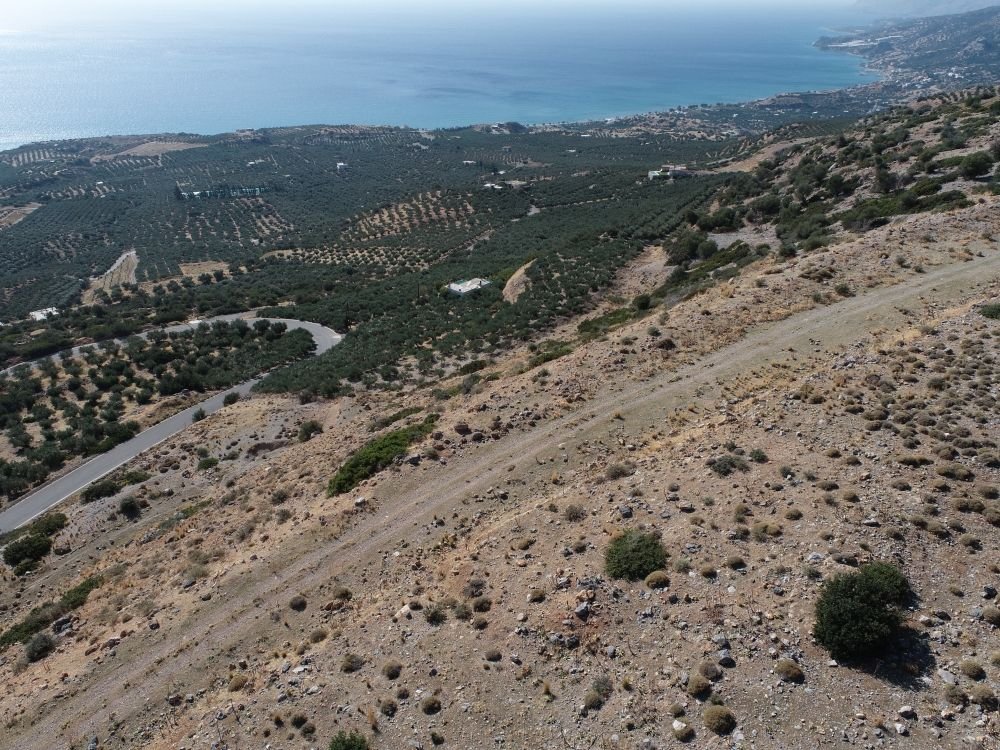 Foto der Immobilie (35882)