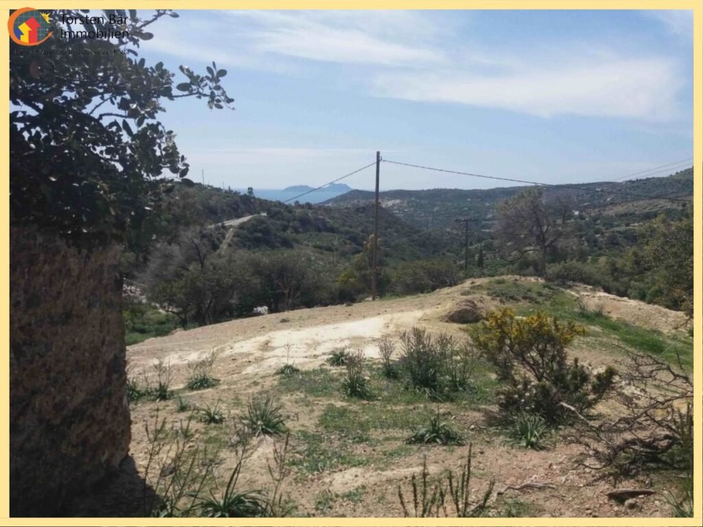 Foto der Immobilie (33169)