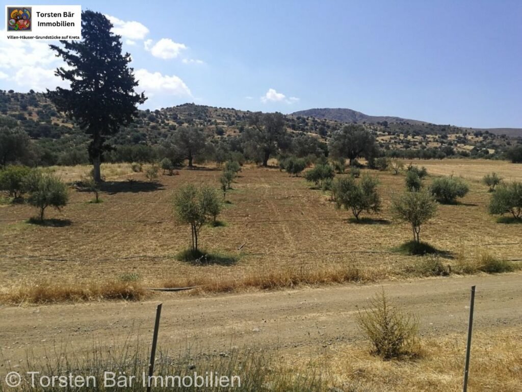 Foto der Immobilie (37204)