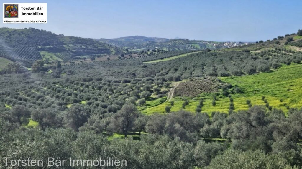 Foto der Immobilie (32767)