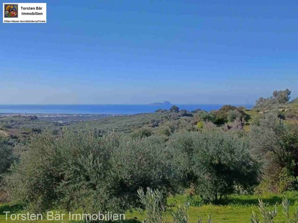 Foto der Immobilie (40618)