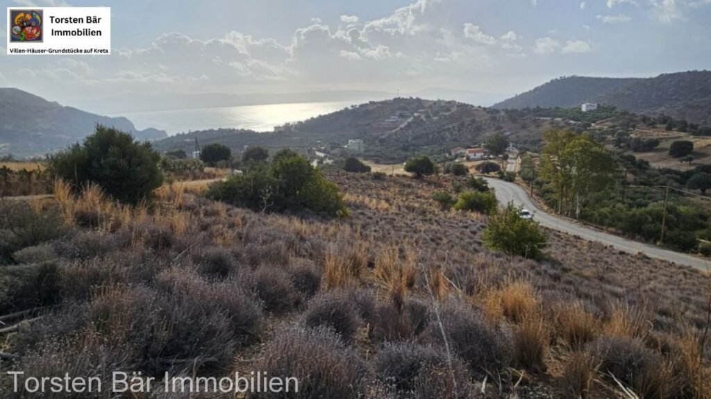 Foto der Immobilie (35725)