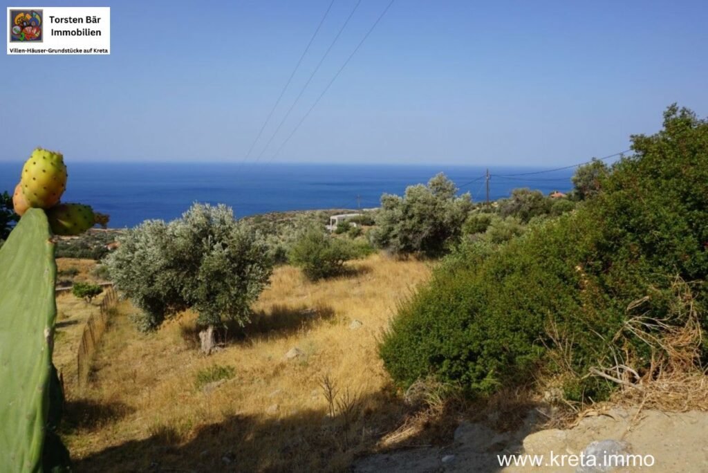 Foto der Immobilie (10548)