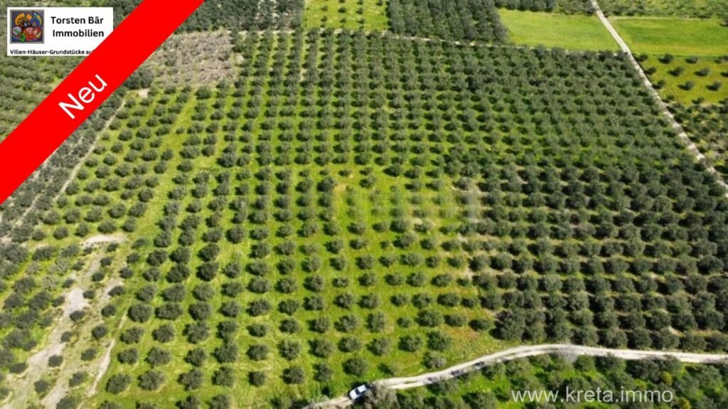 Foto der Immobilie (10326)