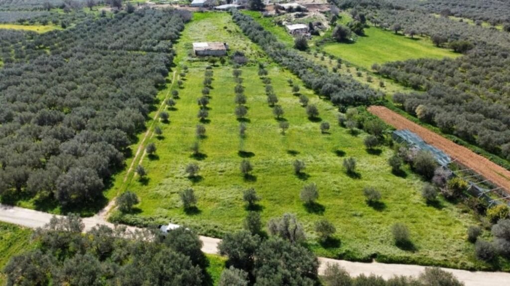 Foto der Immobilie (10340)