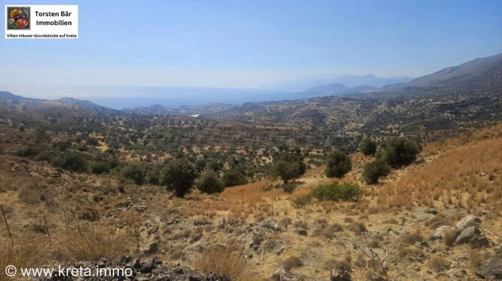 Foto der Immobilie (11169)