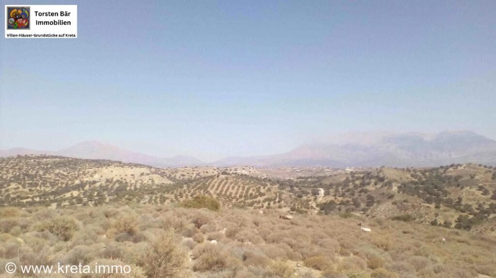 Foto der Immobilie (11221)