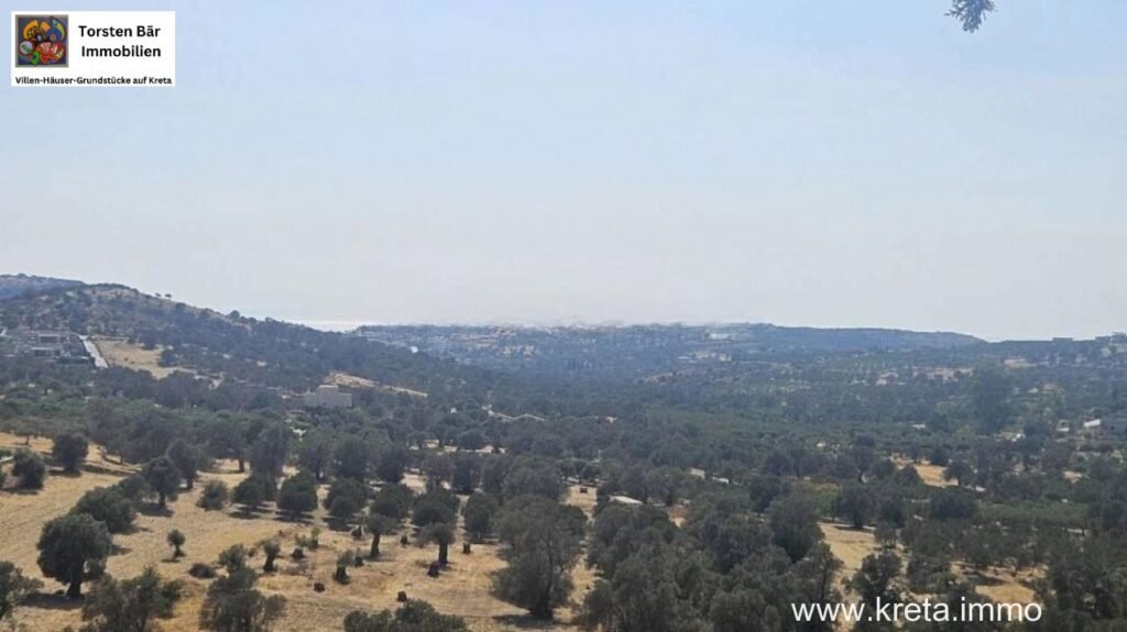 Foto der Immobilie (11236)