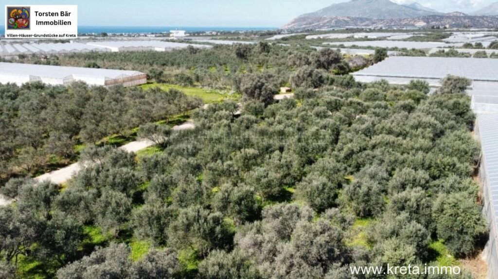 Foto der Immobilie (32661)