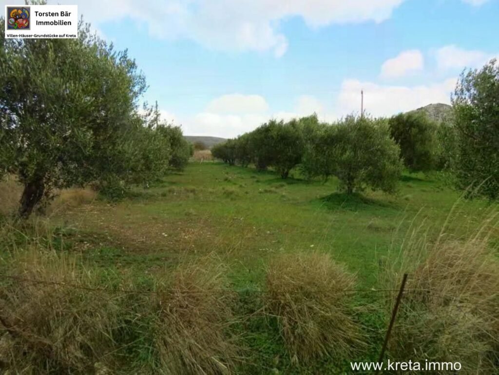 Foto der Immobilie (23234)