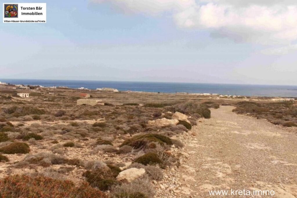 Foto der Immobilie (11248)