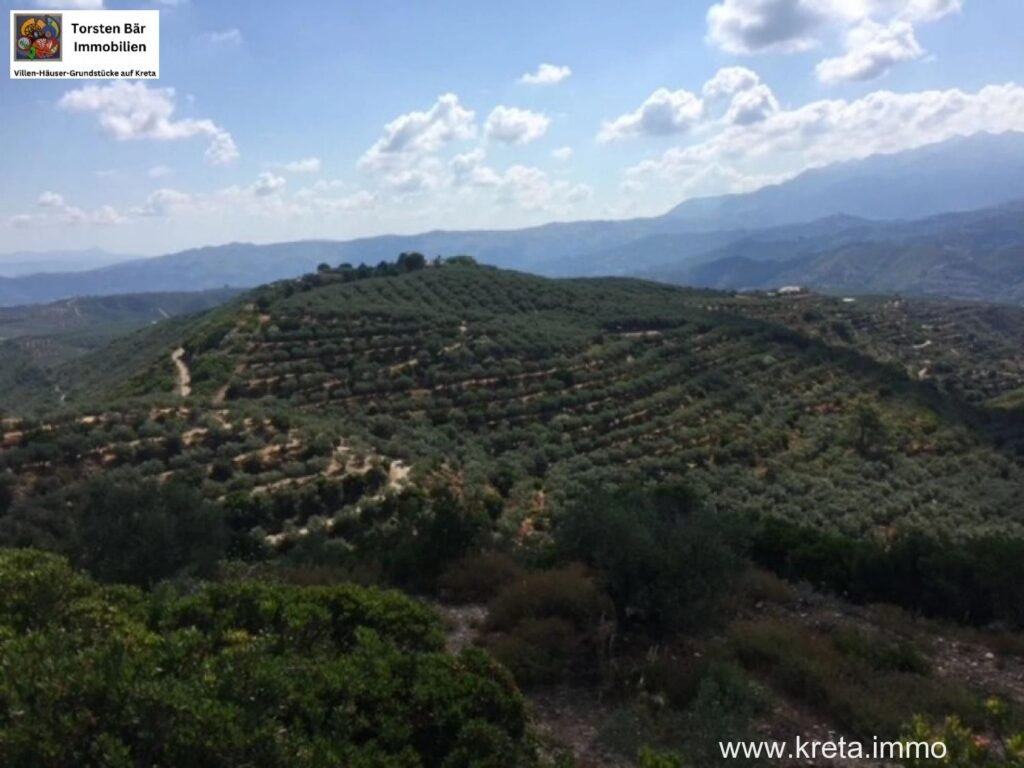 Foto der Immobilie (11325)