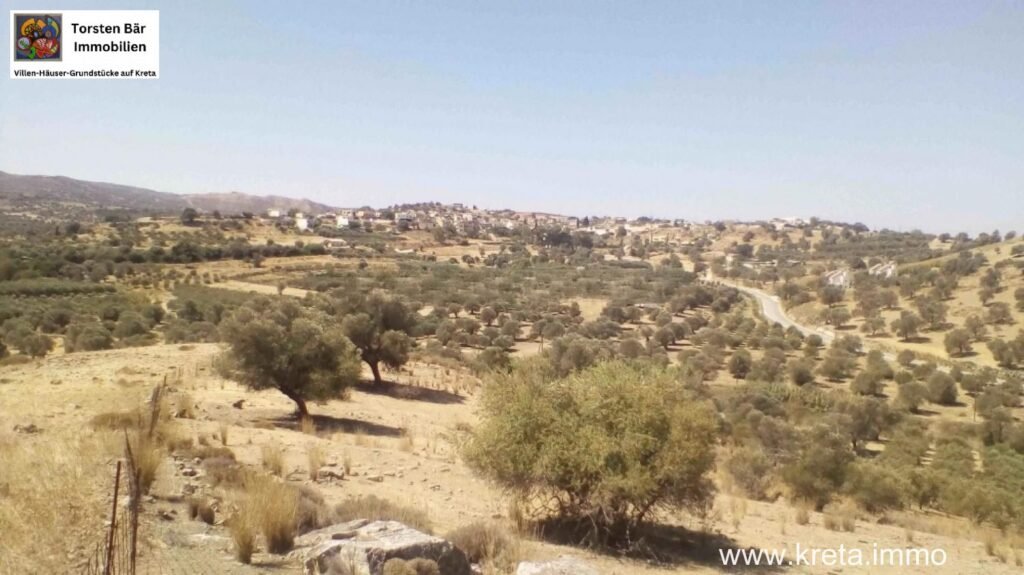 Foto der Immobilie (11336)