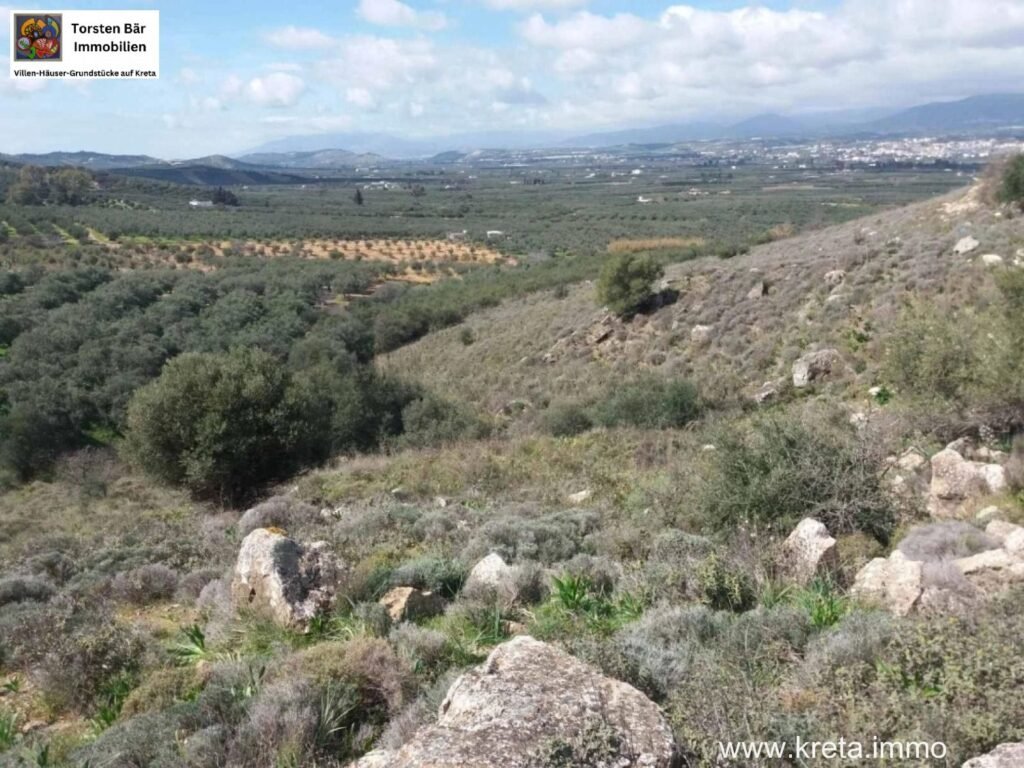 Foto der Immobilie (11380)