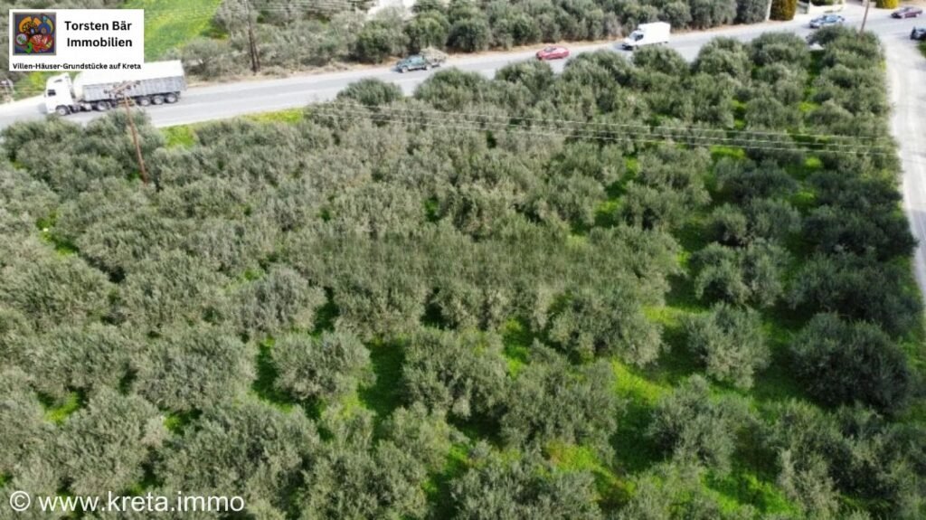 Foto der Immobilie (16567)