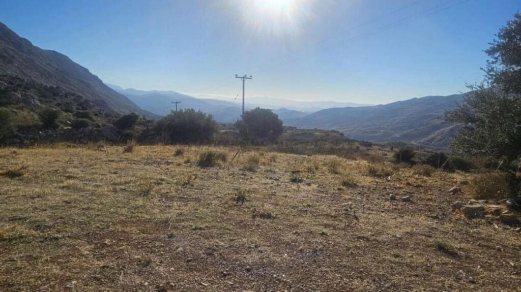 Foto der Immobilie (18913)