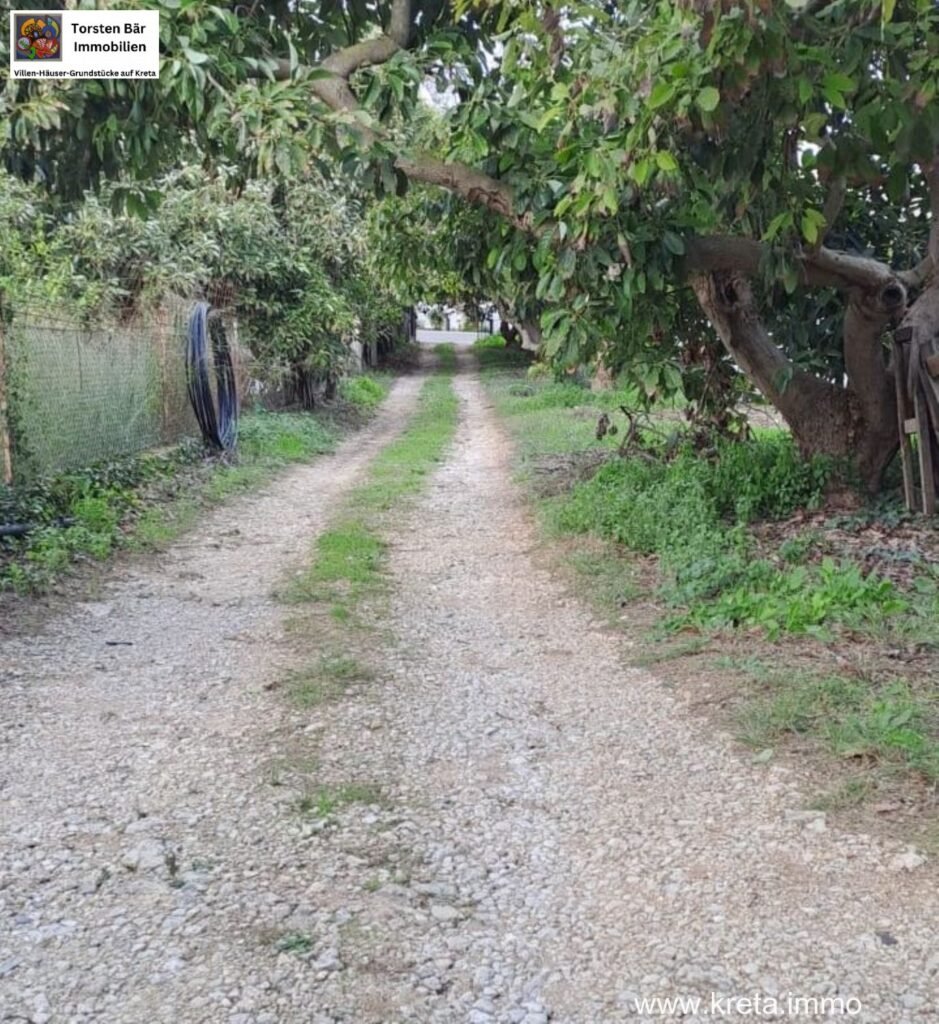 Foto der Immobilie (19280)