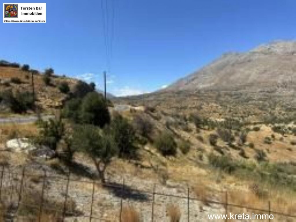 Foto der Immobilie (14591)