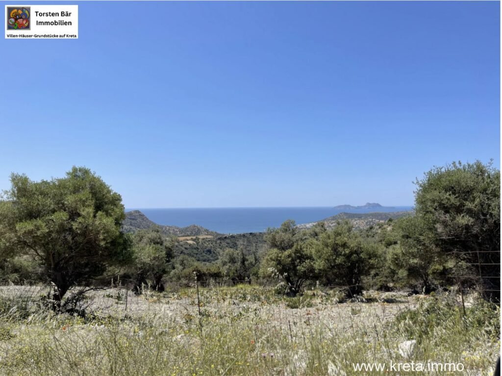 Foto der Immobilie (15000)