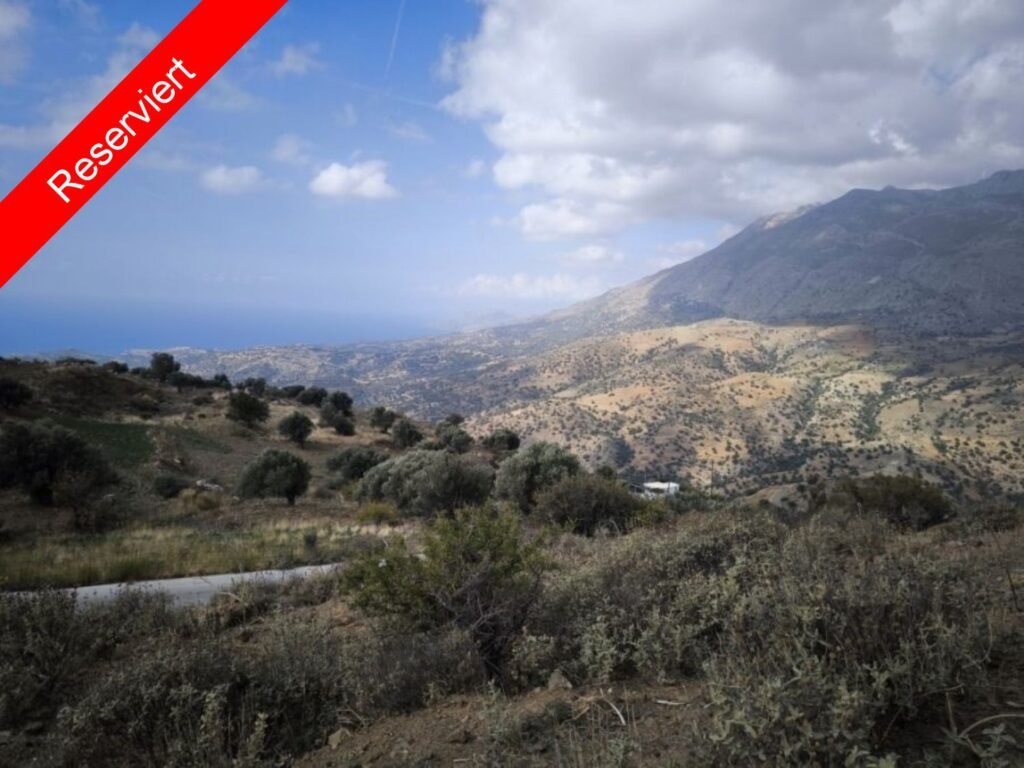 Foto der Immobilie (22354)