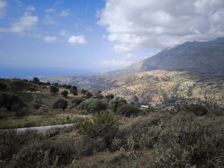 Foto der Immobilie (22166)