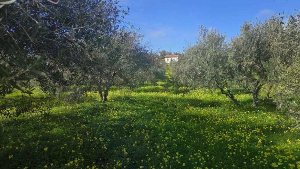 Foto der Immobilie (22197)