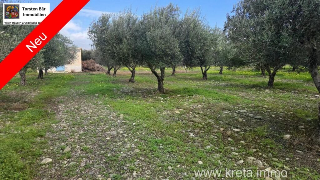 Foto der Immobilie (41991)