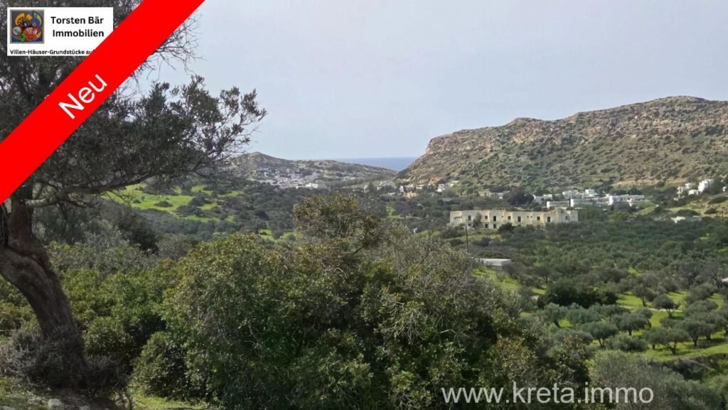 Foto der Immobilie (42003)