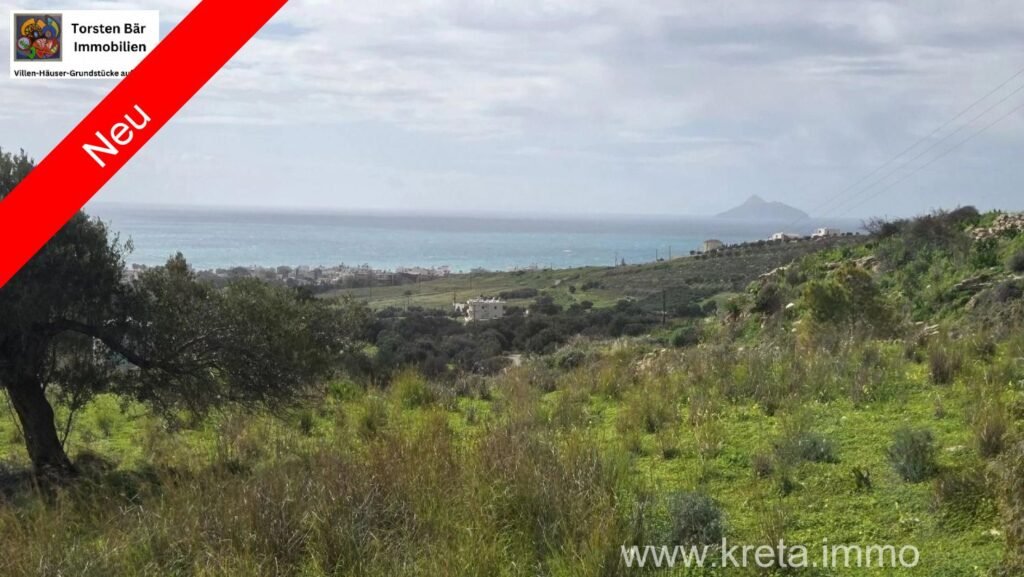 Foto der Immobilie (42013)