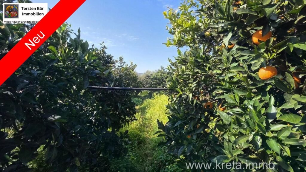 Foto der Immobilie (42025)