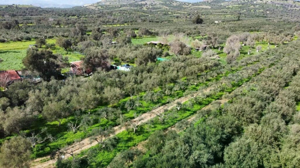 Foto der Immobilie (42044)