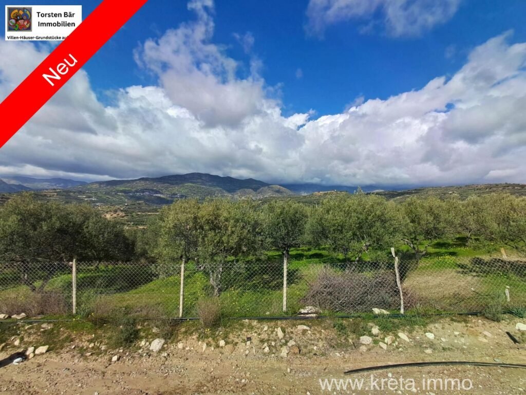 Foto der Immobilie (42079)