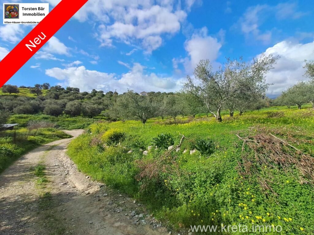 Foto der Immobilie (42066)